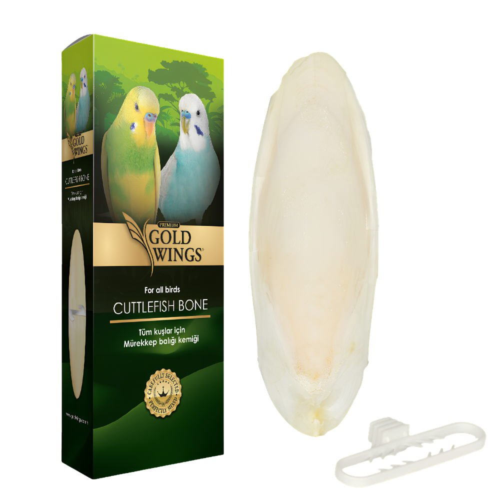 gold wings premium mürekkep balığı kemiği (kalamar) küçük boy 9cm