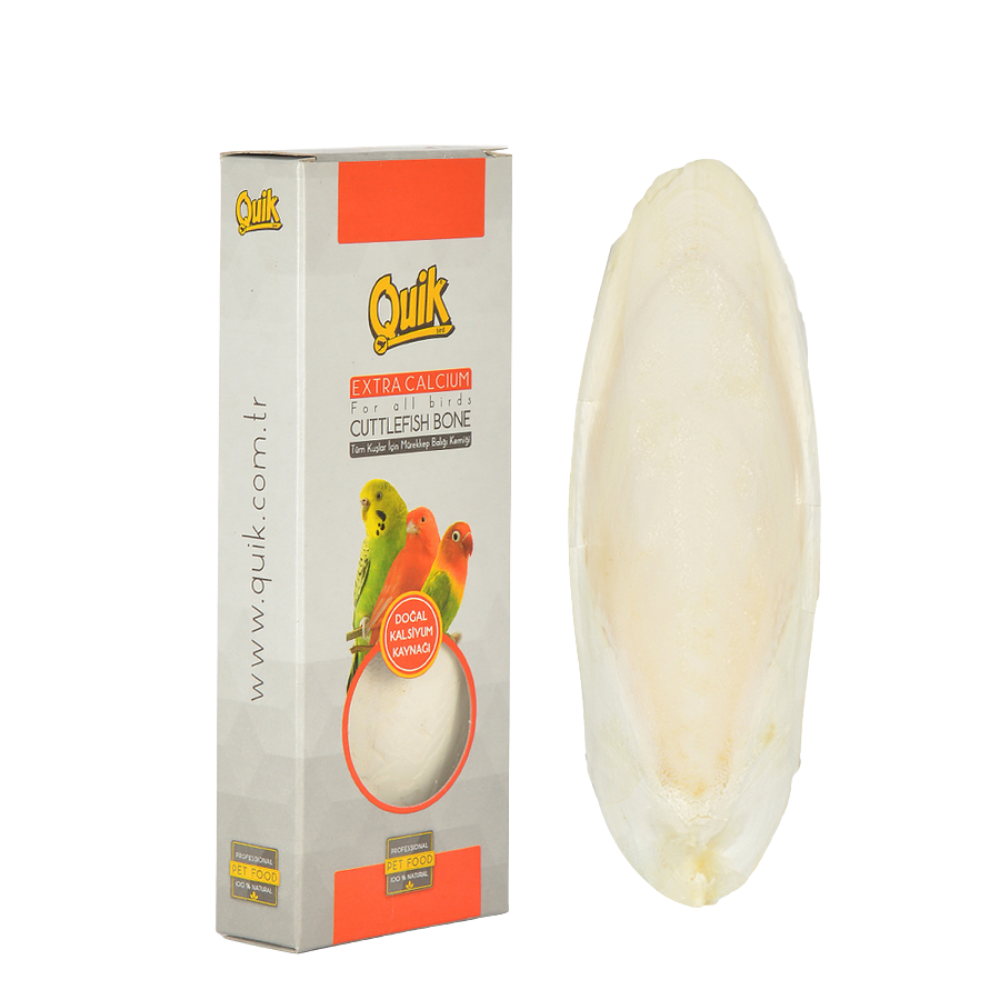 quik mürekkep balığı kemiği (kalamar) orta boy 14 cm (klipsli)