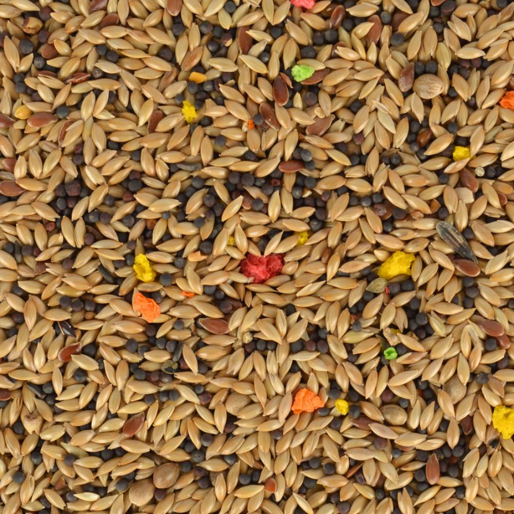 Jungle Kanarya Yemi 400 gr - Görsel 3