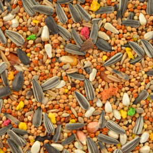 Jungle Paraket Yemi 500 gr - Görsel 3