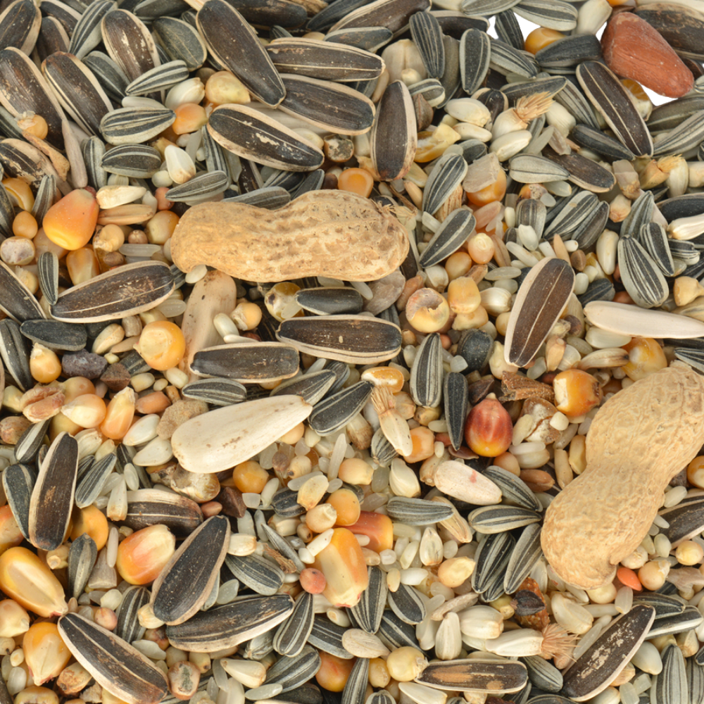 Jungle Papağan Yemi 500 gr - Görsel 2